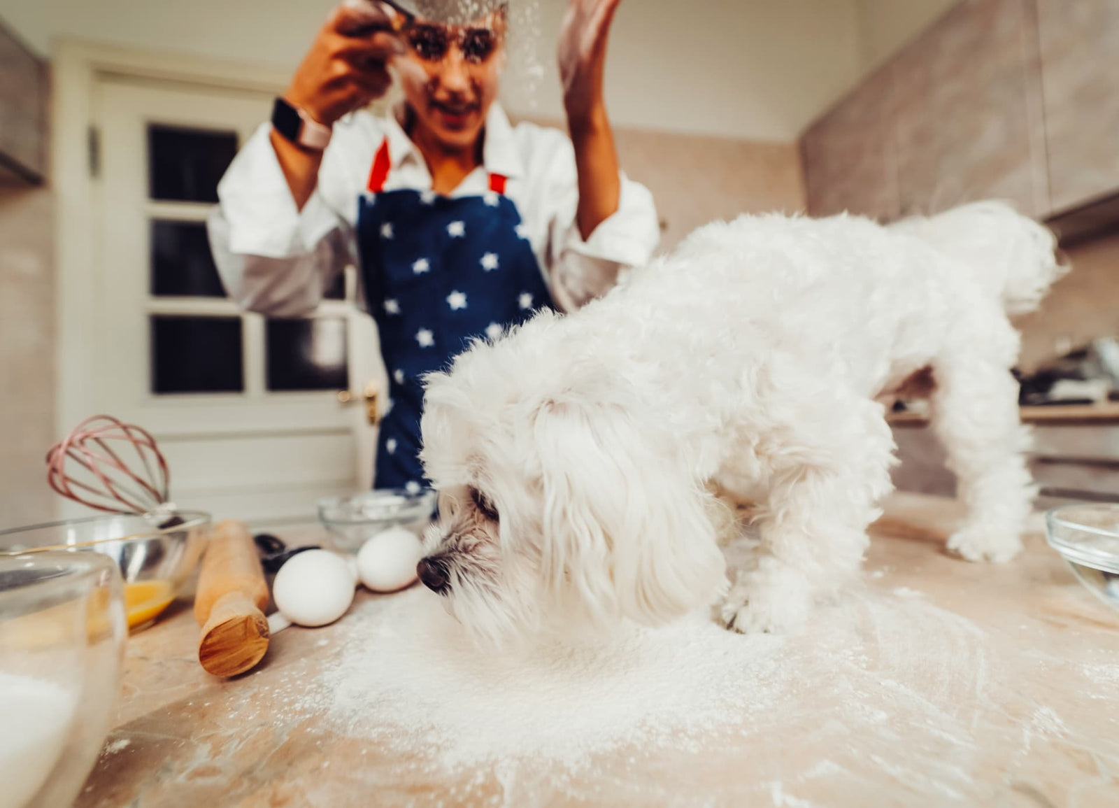 10 Tail-Wagging Dog Recipes Your Pup Will Love