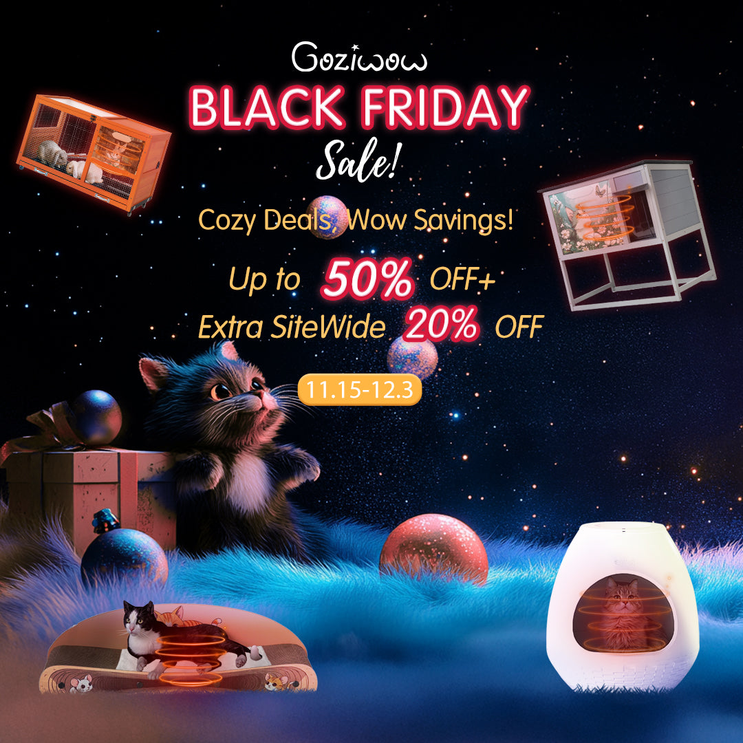 Black Friday Banner 2