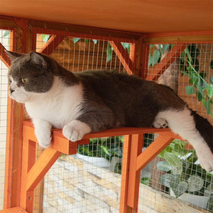 71 inch outdoor cat enclosure details