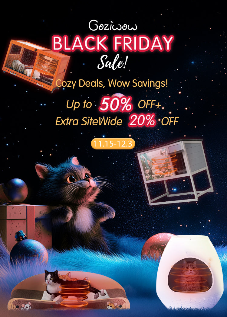 Black Friday Banner 2