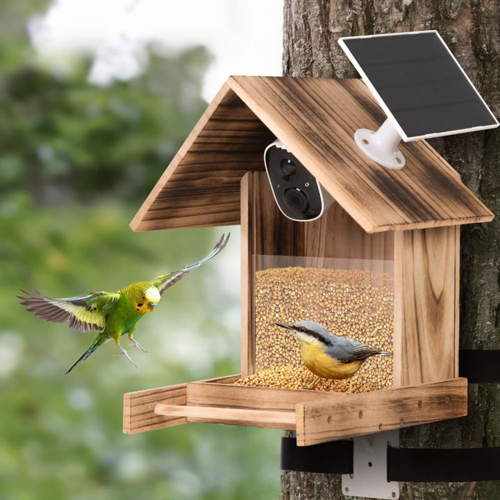 Coziwow Smart Solar-Powered Bird Feeder with Camera-CW12E0632