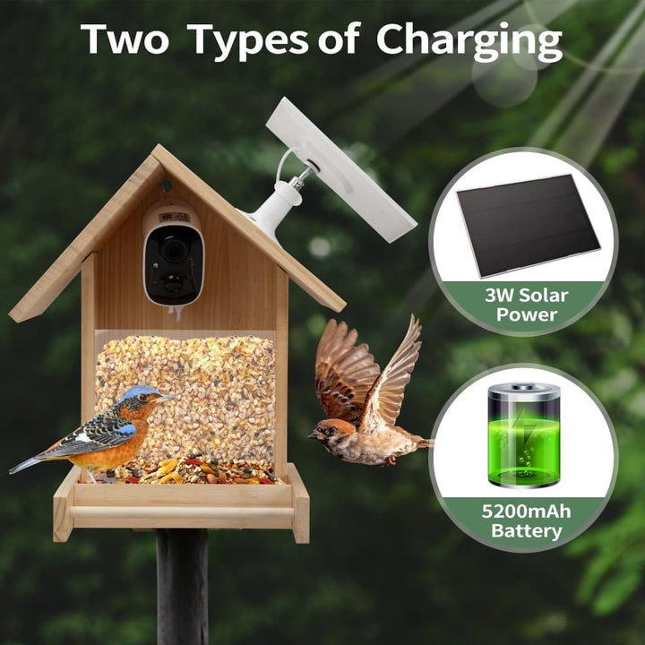 Coziwow Smart Solar-Powered Bird Feeder with Camera-CW12F0759
