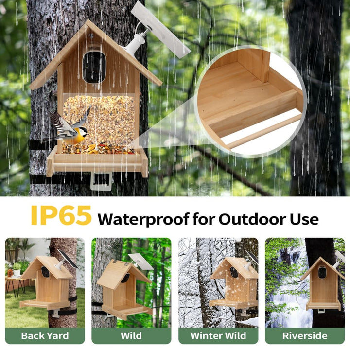 Coziwow Smart Solar-Powered Bird Feeder with Camera-CW12F0759