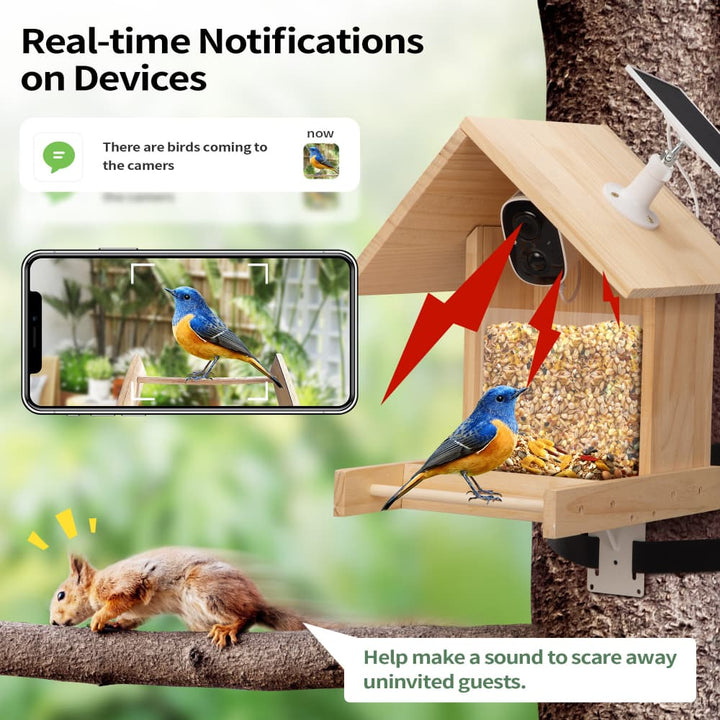 Coziwow Smart Solar-Powered Bird Feeder with Camera-CW12F0759