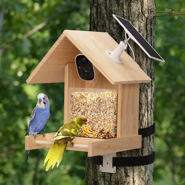 Coziwow Bird Feeders Coziwow Smart Solar-Powered Bird Feeder with Camera