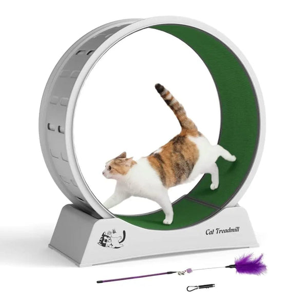 Coziwow Cat Toys Coziwow 31.5''D Cat Running Treadmill