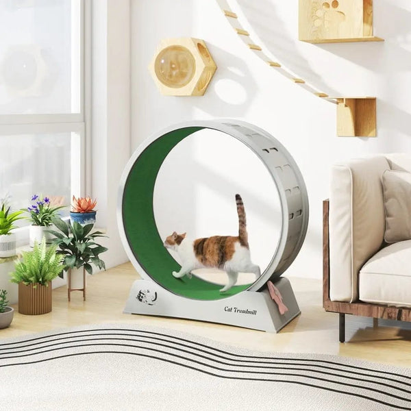 Coziwow Cat Toys Coziwow 31.5''D Cat Running Treadmill