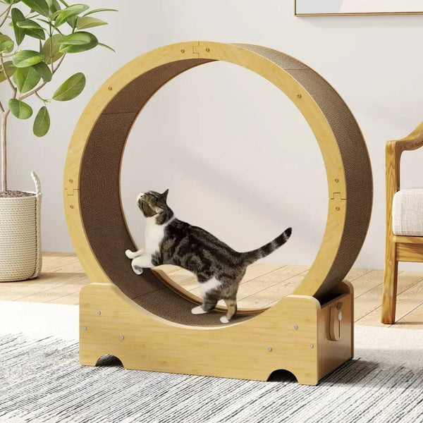 Coziwow Cat Toys Coziwow 34''L Corrugated Cat Exercise Wheel