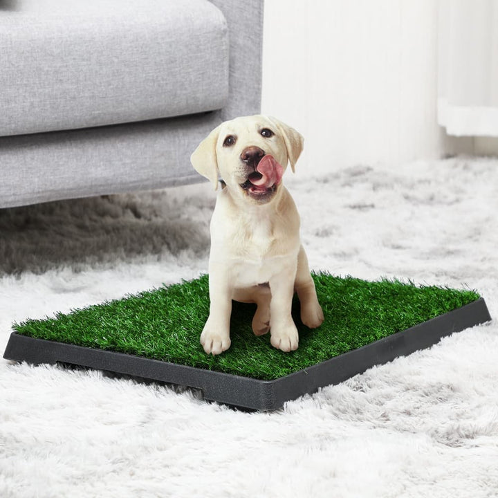 Coziwow 25"×20" Dog Potty Training Grass Pad Upgraded with Tray-CW12S0049