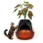 Black / Ventilated Upgraded Set