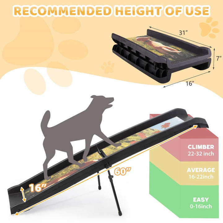 Coziwow 61″L Foldable Dog Ramp Patterned-CW12T0715 Dimensions
