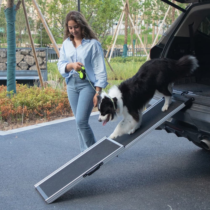 Coziwow 63''L Telescoping Aluminum Dog Ramp Plain-CW12U0662