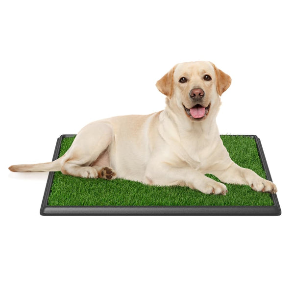 Coziwow 30"×20" Artificial Grass Pee Pad for Dogs-CW12Y0611