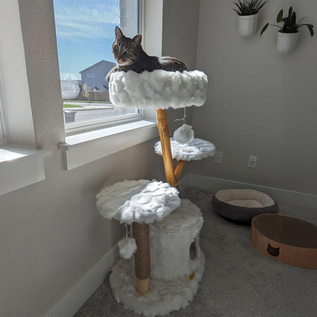 42"H Wood Cat Tree Climber Shelves, Natural Branch Cat Tower with Condo, White 25