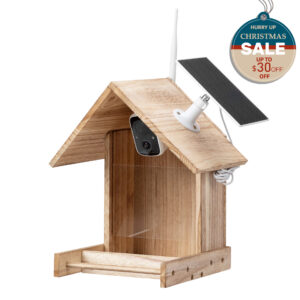 Bird Feeder with 1080P HD Camera, Solar Powered, Auto Capture Bird Motion Detection, Live View CW12E0632