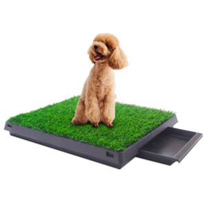 25"×20" Artificial Grass for Dogs Potty with Tray, for Small or Medium Sized Pets CW12S00491 1 Dog Supplies