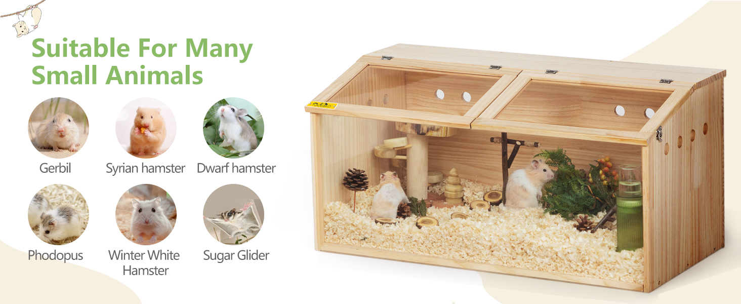 A Guide to Hamster Lifespan in Hamster Cages - Coziwow