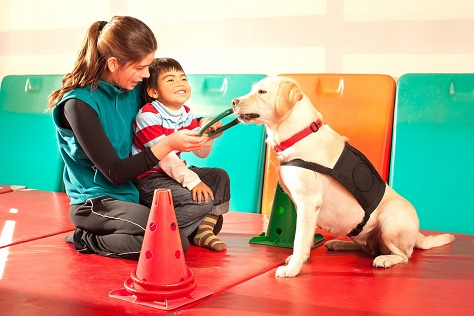 Rainy-Day Activities for Your Dogs 4 2 dog class, dog care