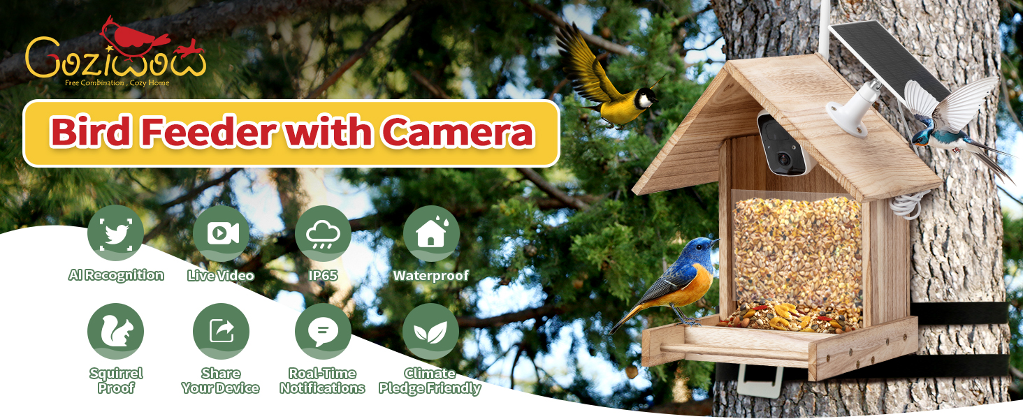 Bird Feeder with 1080P HD Camera, Solar Powered, Auto Capture Bird Motion Detection, Live View CW12W0645A1464X6001 1