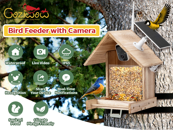 Bird Feeder with 1080P HD Camera, Solar Powered, Auto Capture Bird Motion Detection, Live View CW12W0645A600X4501