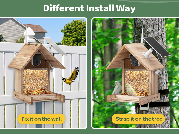 Bird Feeder with 1080P HD Camera, Solar Powered, Auto Capture Bird Motion Detection, Live View CW12W0645A600X4506