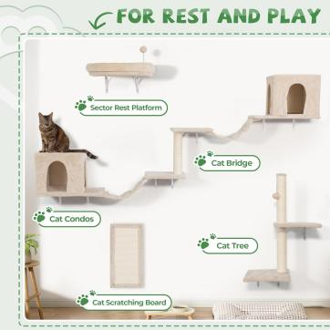 Best Toys To Keep Your Cat Happy And Engaged 图片2 Classroom, cat class, cat play