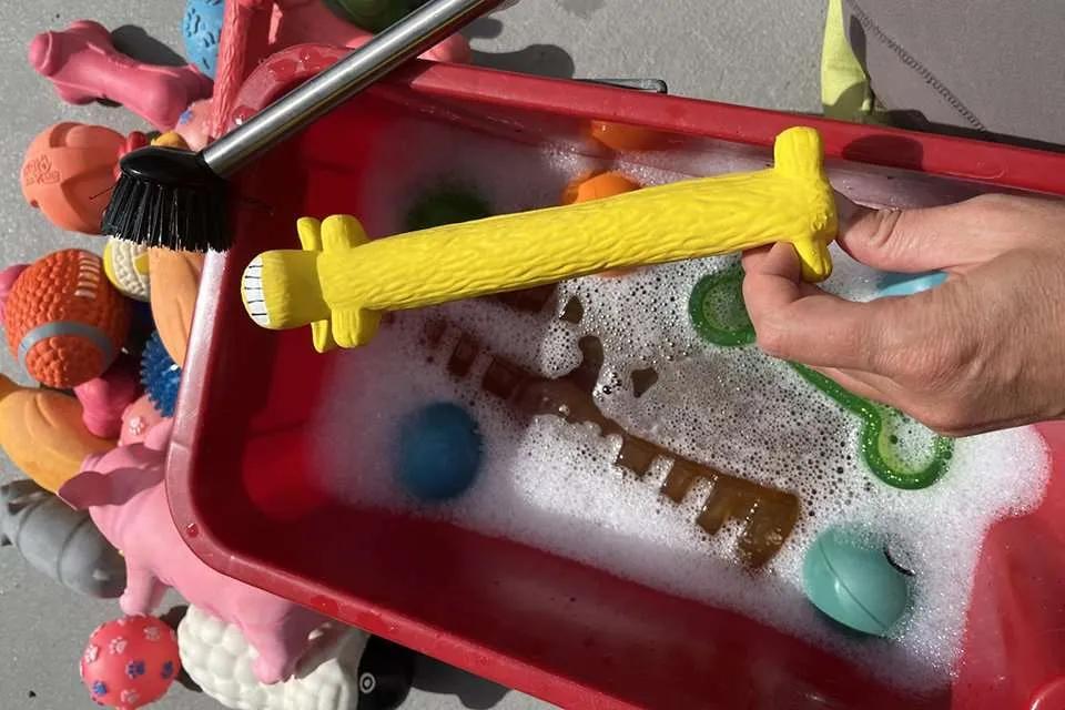 How to Wash Dog Toys 图片3 1 Classroom, dog class, dog wellness