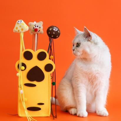 Best Toys To Keep Your Cat Happy And Engaged 图片4 Classroom, cat class, cat play