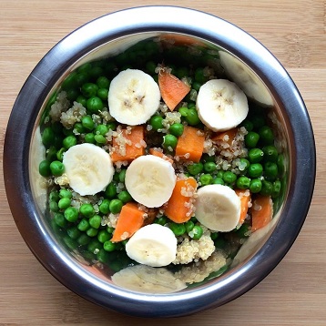 Doggie Vegan Bowl