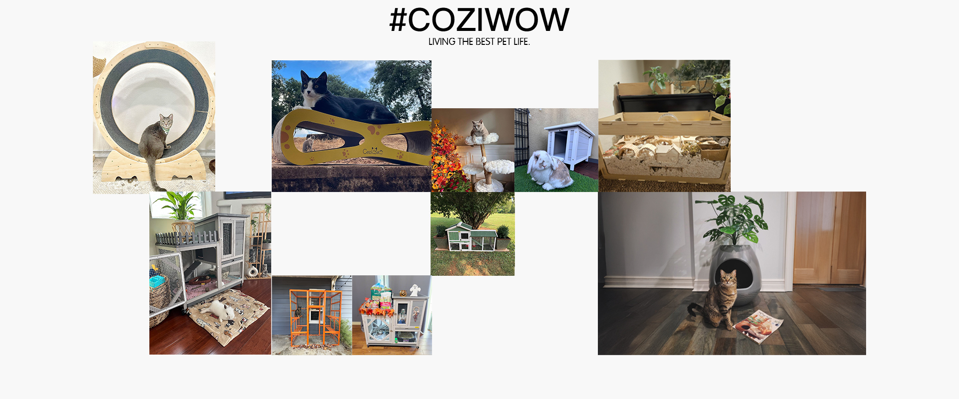 Home Coziwow PC 简单