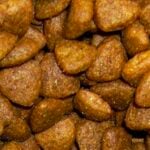 Chicken and Turkey Dry Food